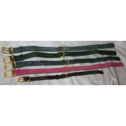 Custom Engraved Leather Dog Collars